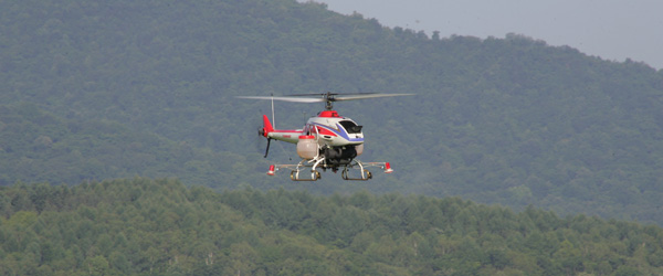 �_��U�z�Ɩ�