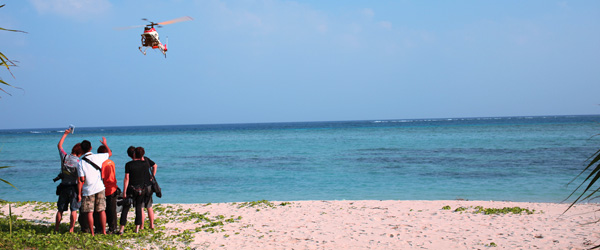 ���W�R���w����B